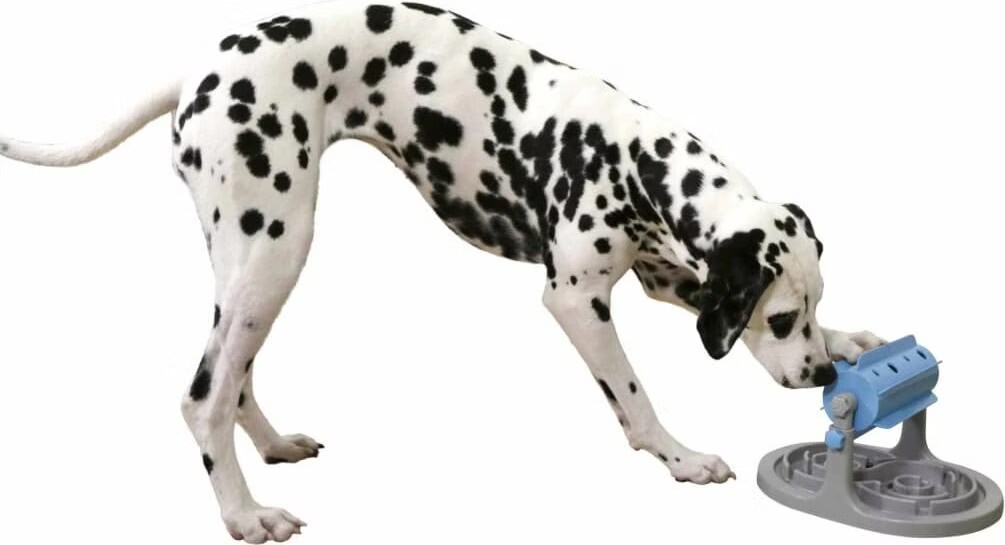 Distributeur de friandises anti-glouton pour chien