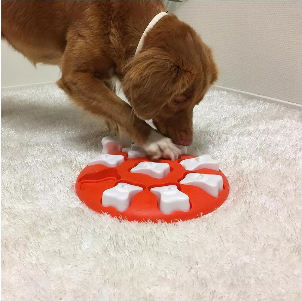 Jouet d'intelligence Chien - Nina Ottosson Smart niveau 1