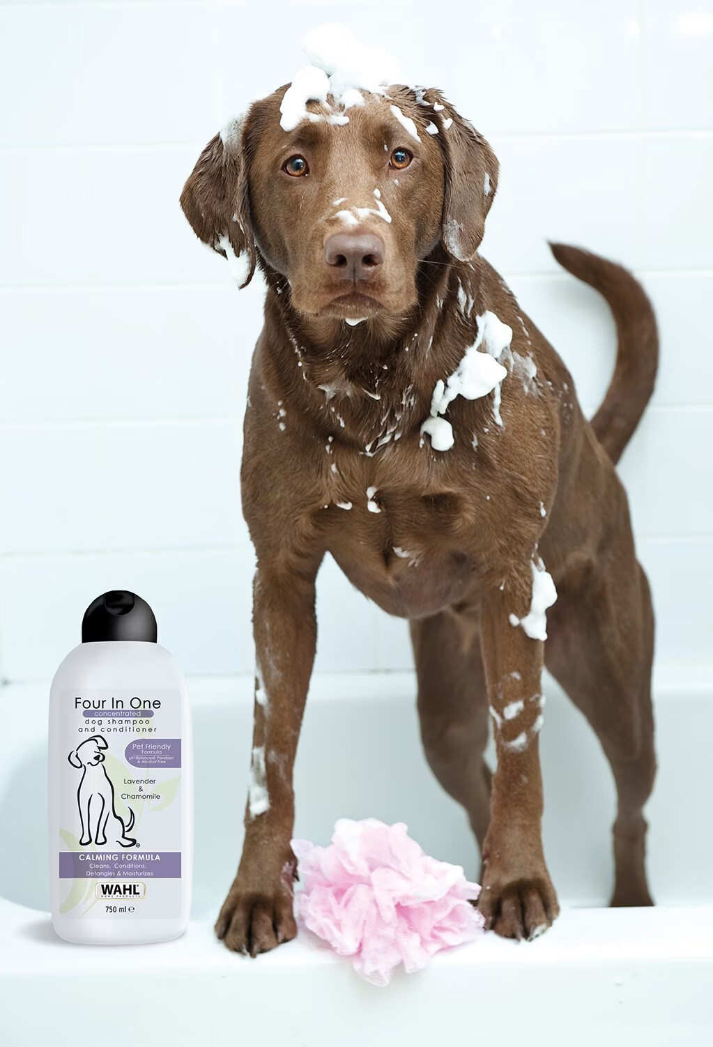 Wahl 3999-7010 (Chien, 750ml), Produits de soins pour animaux