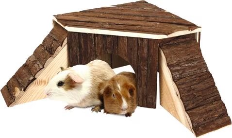 Karlie Sunny, Équipement cage pour rongeurs