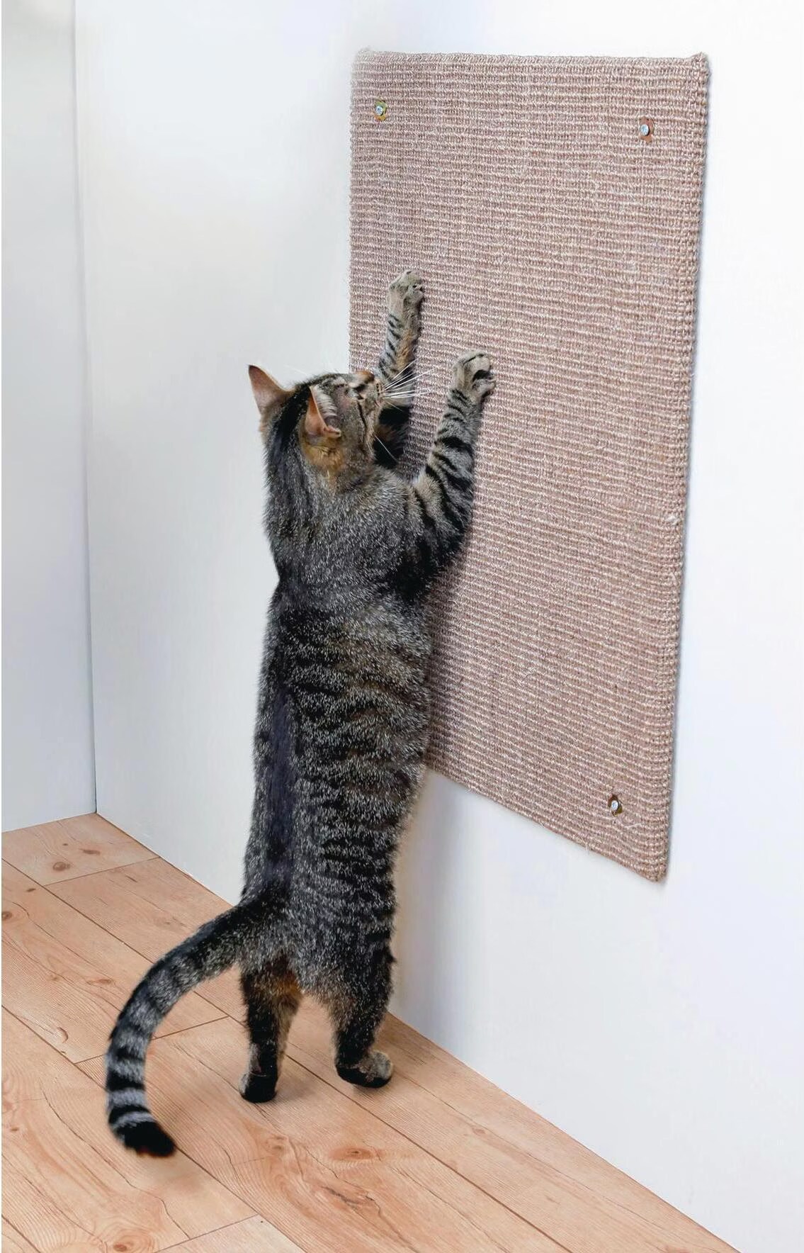 TRIXIE Griffoir XXL - Tapis en sisal / Catnip - 50 x 70 cm - Taupe - Pour chat