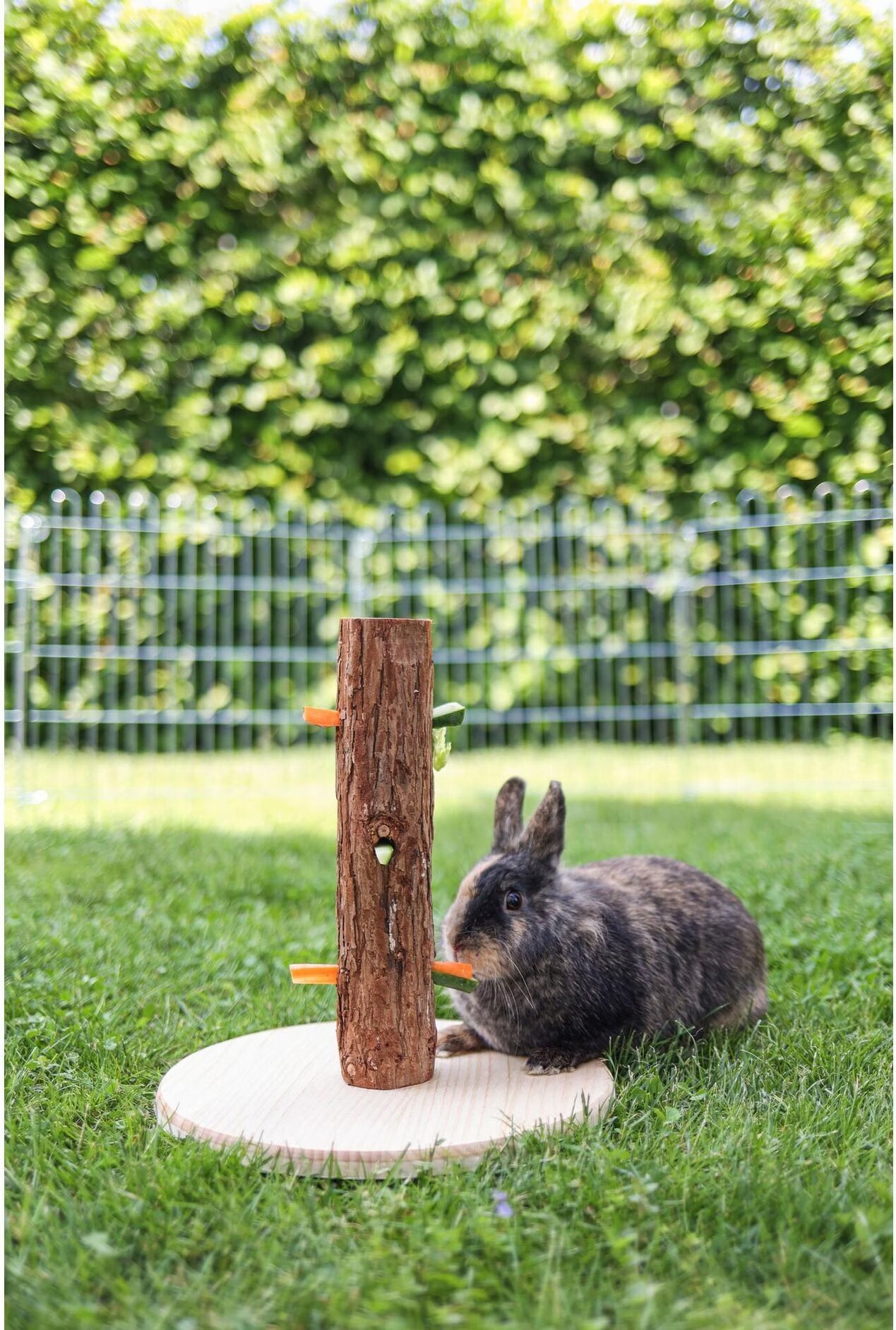 Kerbl nature, Équipement cage pour rongeurs