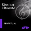 Avid Sibelius Ultimate (Illimité)