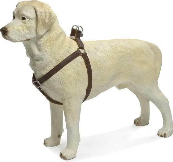 Comparer les prix de Beeztees BZ MACL SOFT TOUCH HARNAIS BR (Chien, Sport canin), Collier + laisse