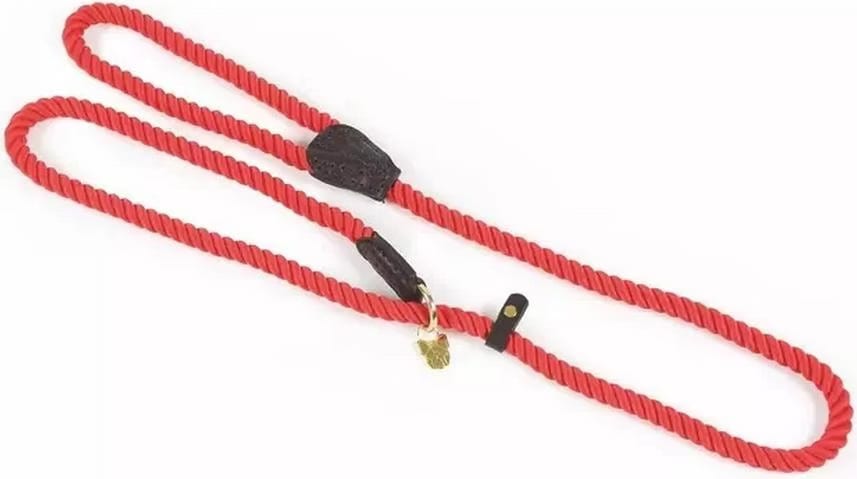 Meilleurs prix pour Digby & Fox Laisse pour chienRetrieverCorde en cuir (Chien), Collier + laisse