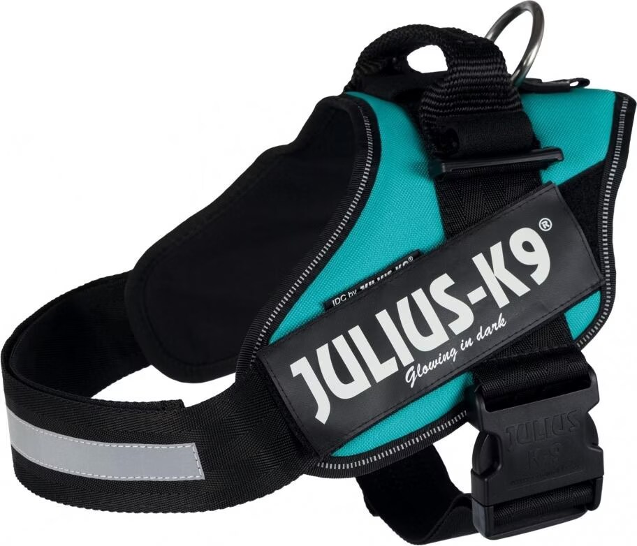 Meilleurs prix pour Julius-K9 IDC Powergschirr 1/L, Collier pour animaux