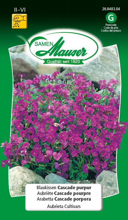 Samen Mauser Blaukissen Cascade Purpur (Pflanzensamen) Galaxus