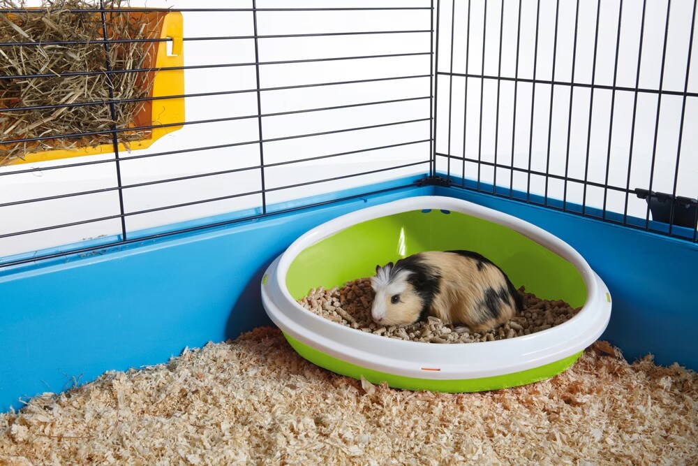 Bac À Litière Concha Medium