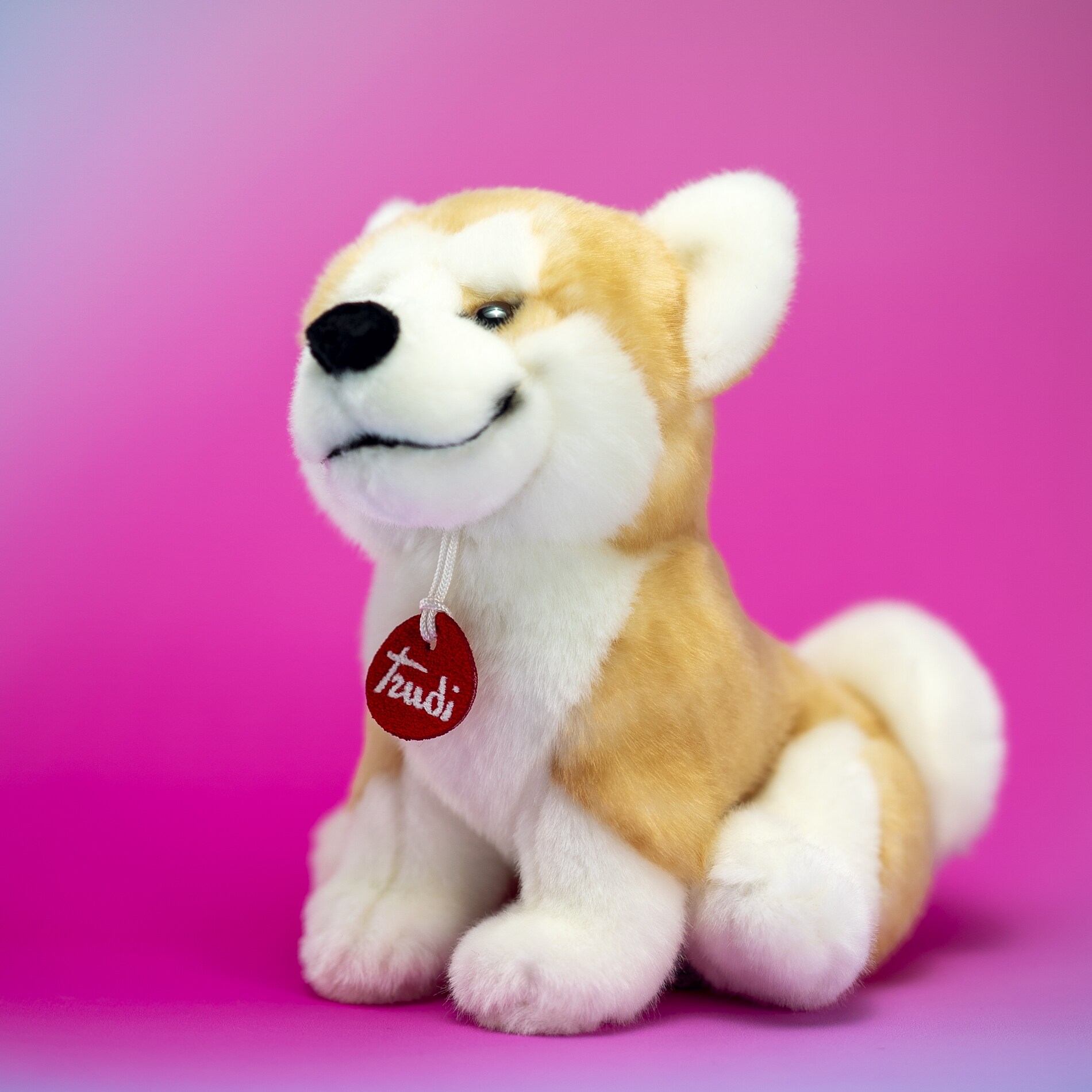 Akita trudi online