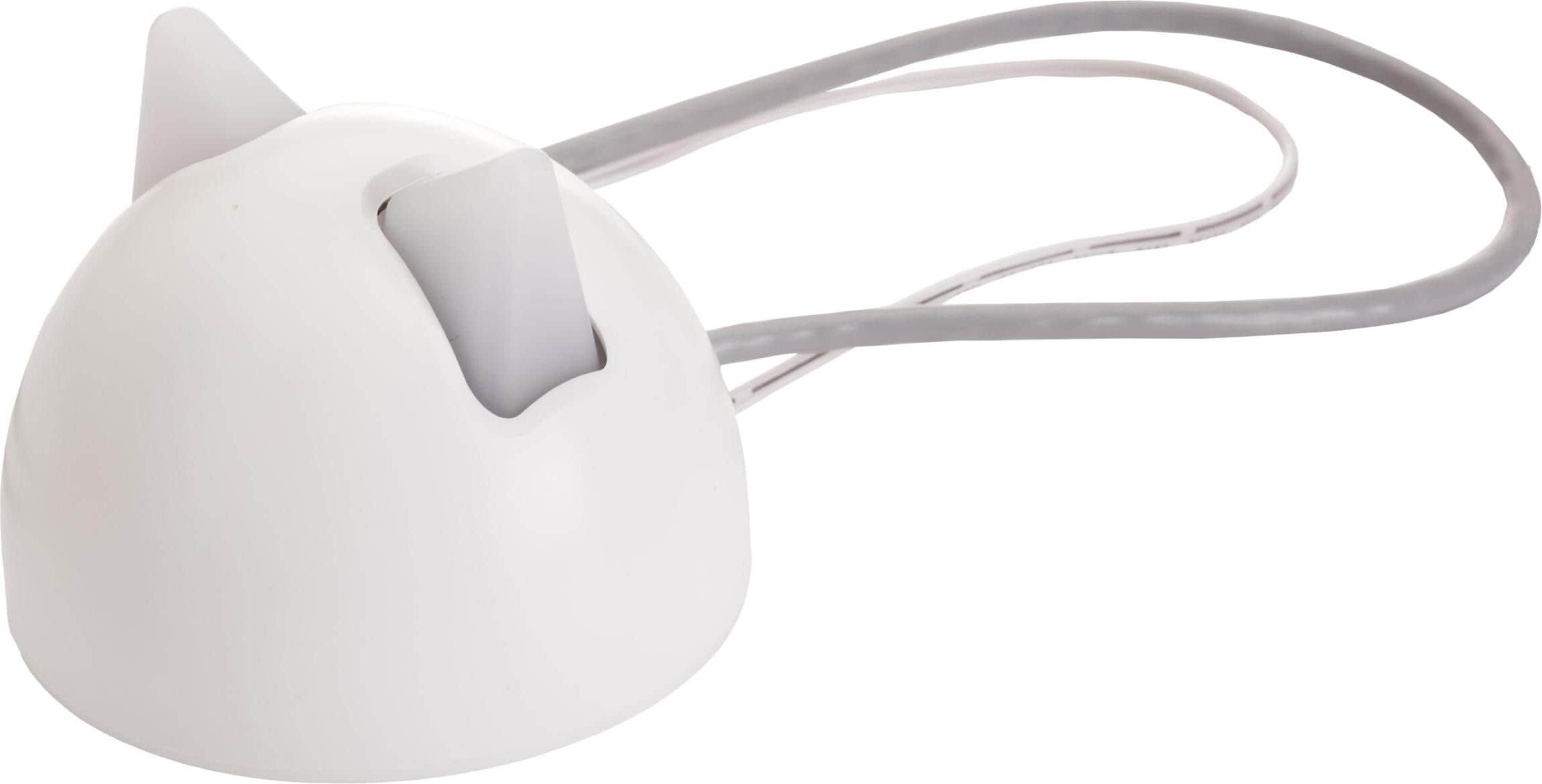Sureflap hub on sale