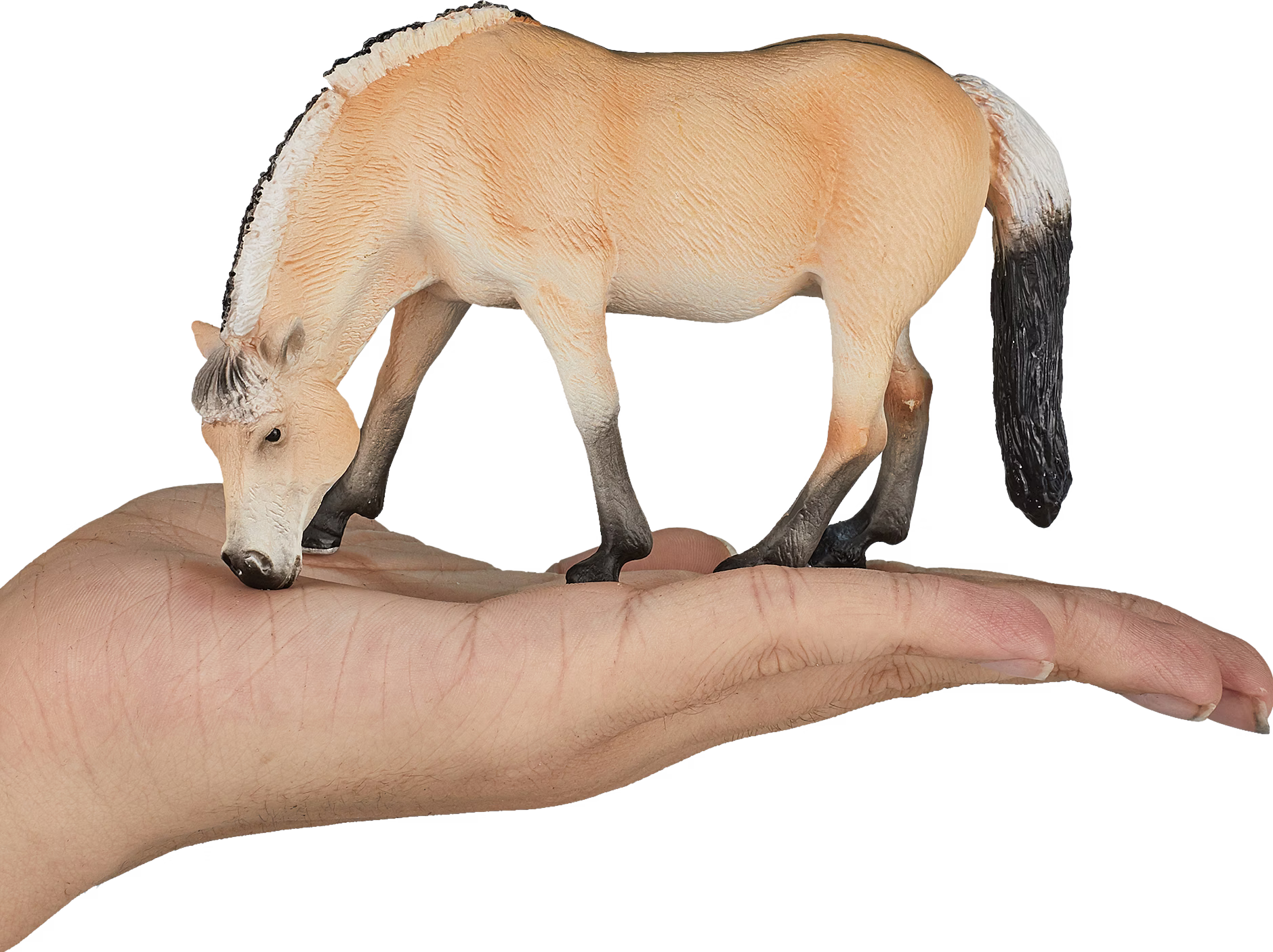 Mojo NORWEGIAN FJORD HORSE Toys Model Figure Kids Girls Plastic Animal Farm - Foto 7