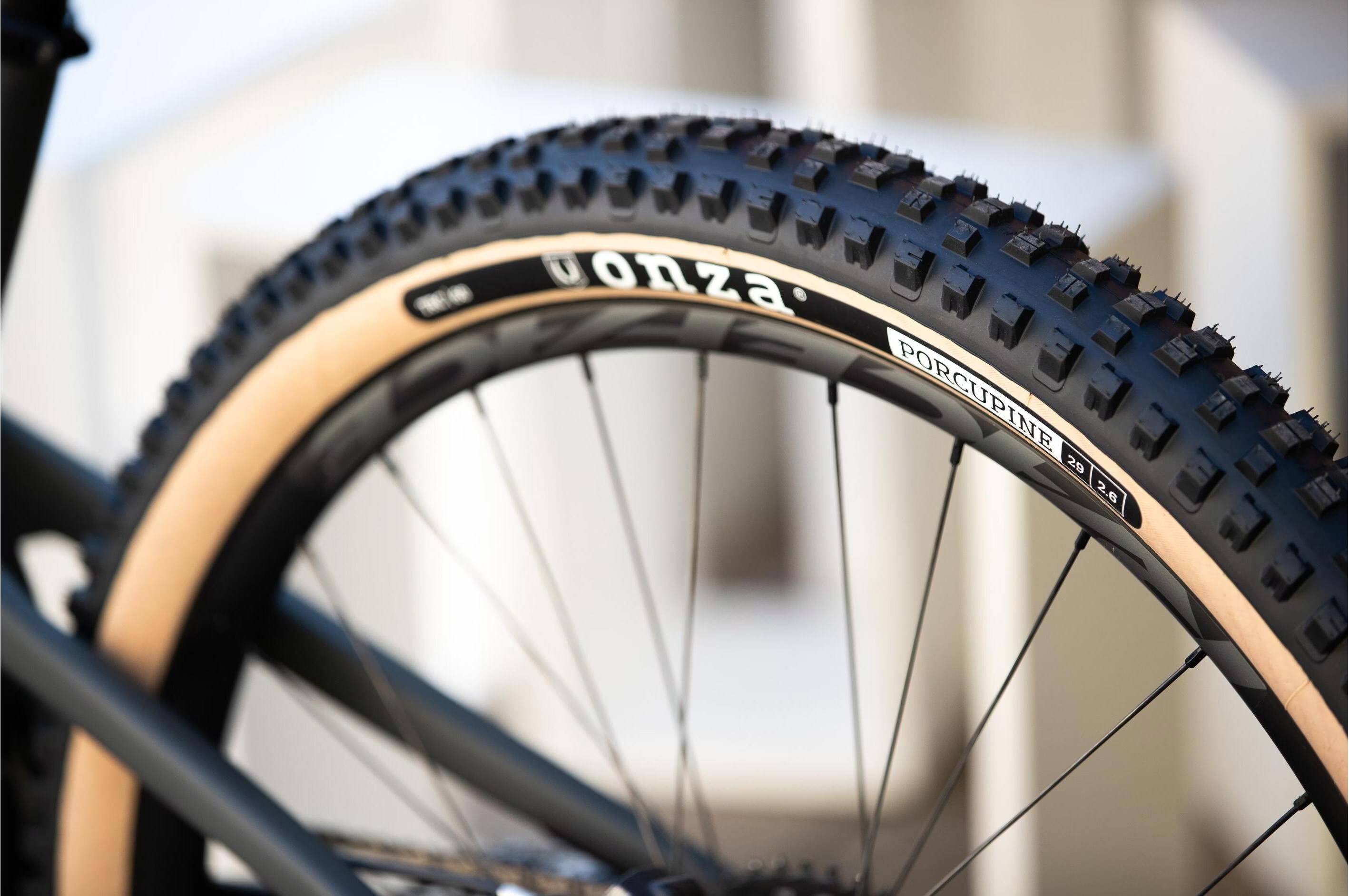 Onza Porcupine RC Skinwall buy at Galaxus