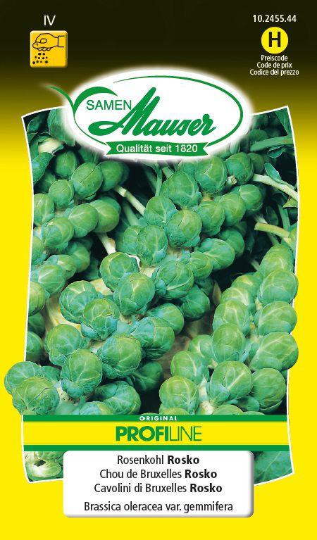 Samen Mauser Rosenkohl Rosko Profiline (Gemüsesamen) Galaxus