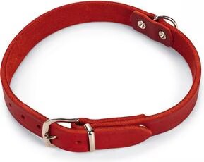 Comparer les prix de Karlie Collier Rondo, rivet (M, Chien, Promenade), Collier + laisse