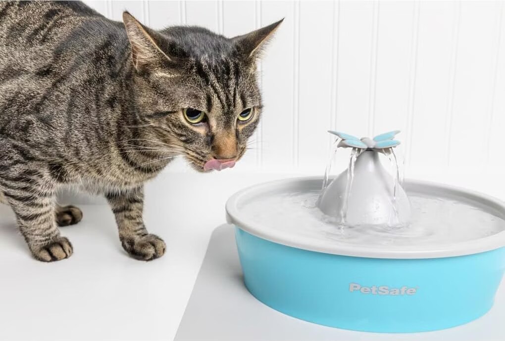 Fontaine Drinkwell® Papillon 1,5L