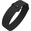 Polar Oh1