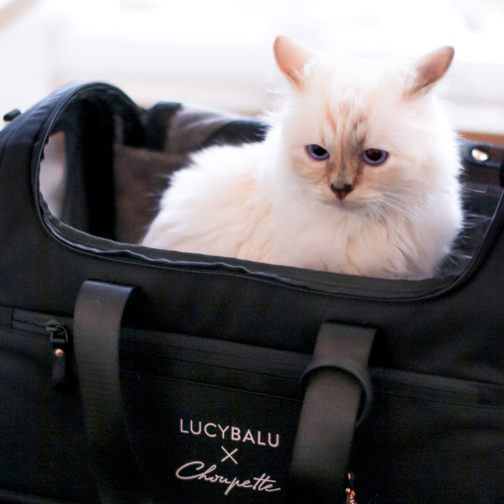 LucyBalu CHECK IN cat carrier bag Choupette Edition Cat Washable Galaxus