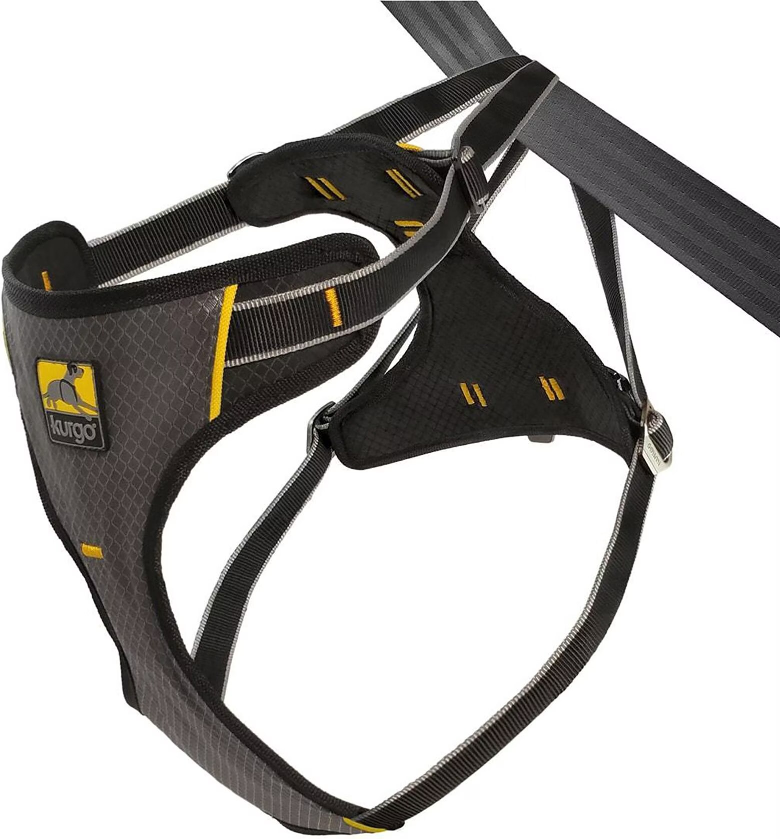 Meilleurs prix pour Kurgo UTTL4852_P (S, Chien), Collier + laisse