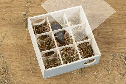 Beeztees BZ BOIS RONGEUR LABYRINTHE CLEO M, quipement cage pour rongeurs