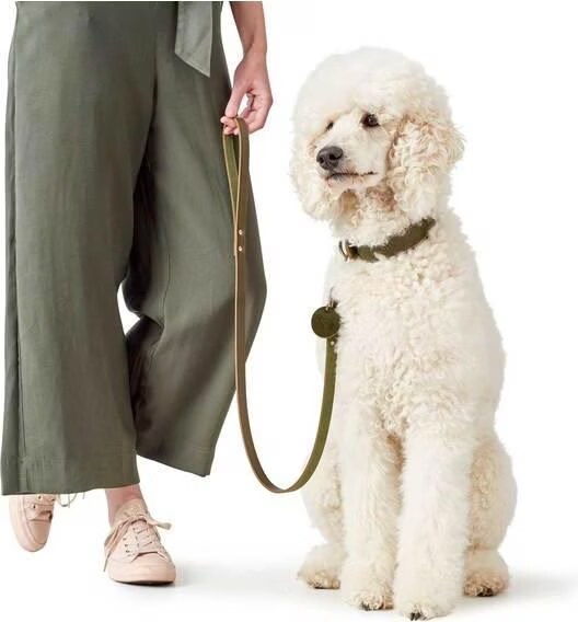 Hunter Laisse ducative (100, Chien, Sport canin), Collier + laisse