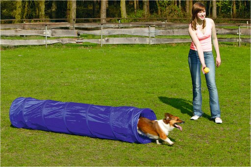 Comparer les prix de Beeztees BZ AGILITY TUNNEL SMALL 198X40 (Agility), Agility