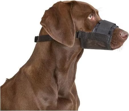 Meilleurs prix pour Muselière Nylon T. M Noir, 17-22cm / 7,5cm