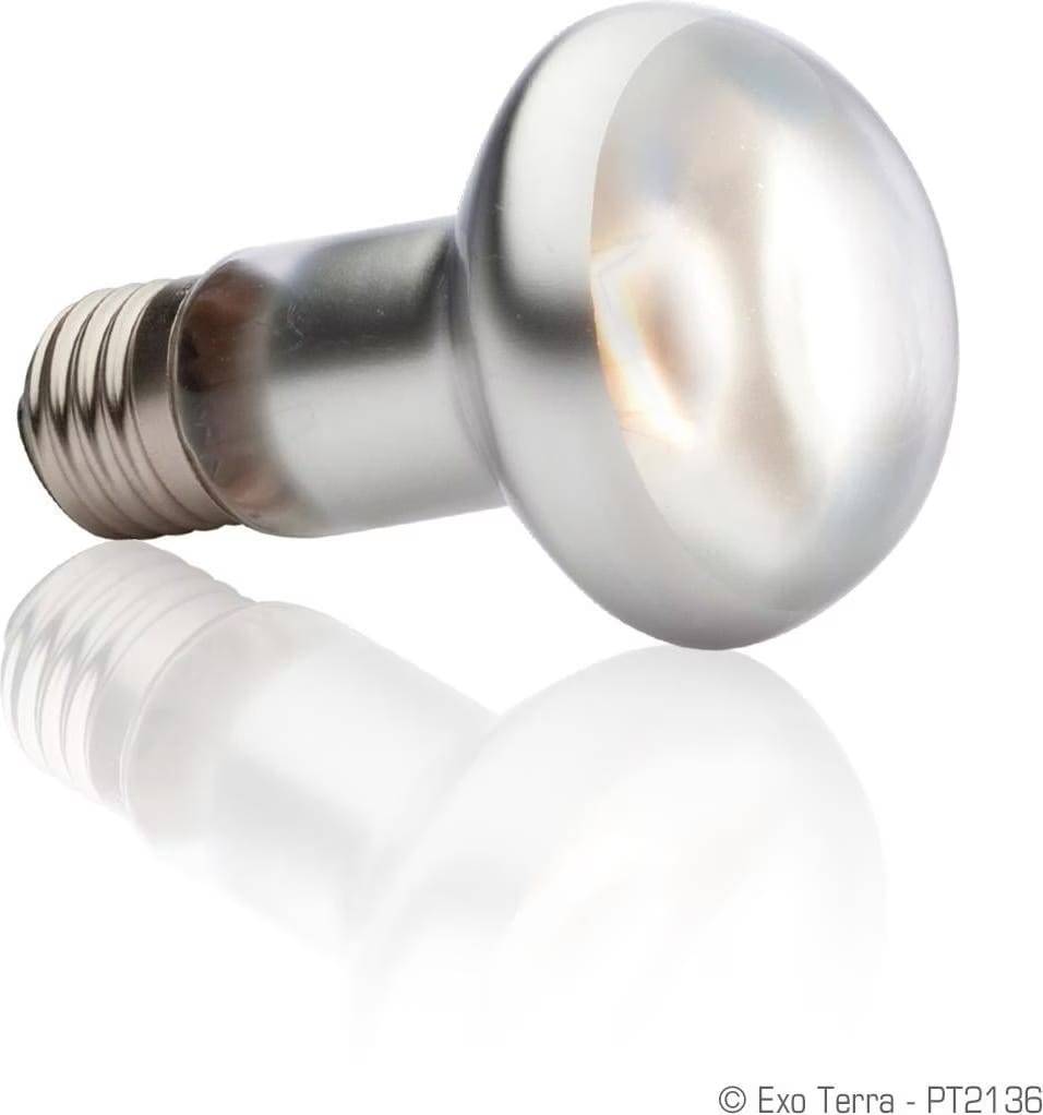 Exo Terra - Ampoule Intense Basking Spot - 75W