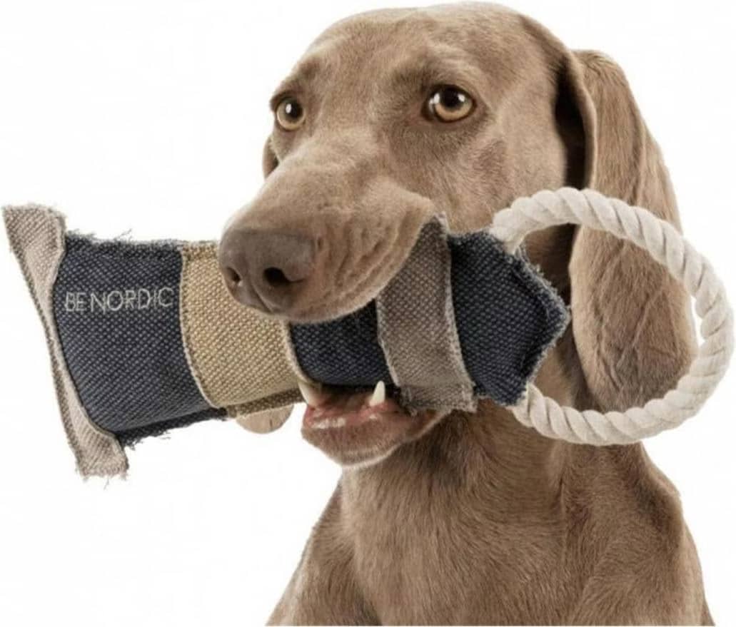 Comparer les prix de Trixie Be Nordic Lighthouse (Apporter, Jouets pour chiens), Jouets pour chien