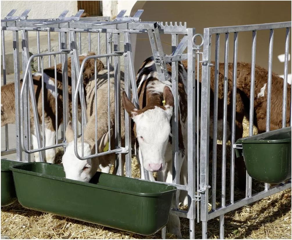 Comparer les prix de Kerbl Séparation de l'aire d'alimentation, Cage