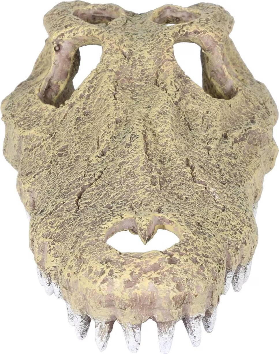 Meilleurs prix pour EBI Aqua Della Aligator (autres lments), Dcoration d'aquarium