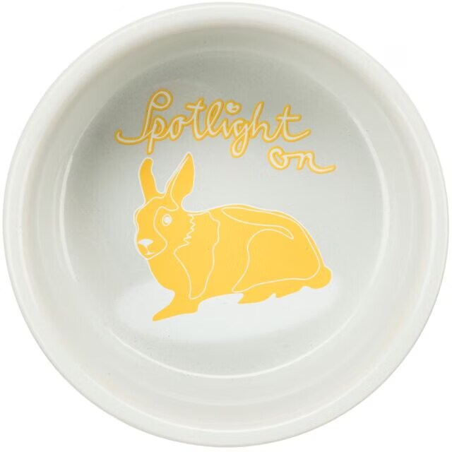 Comparer les prix de Trixie Ecuelle Lapin BD Spotlight (0.25l), Gamelle