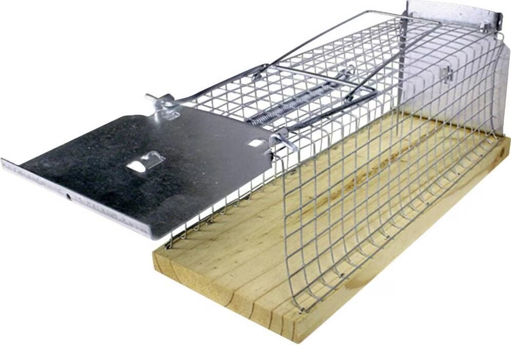 Comparer les prix de Swissinno, Pige  animaux, Pige vivant Rat Classic 1 pc.