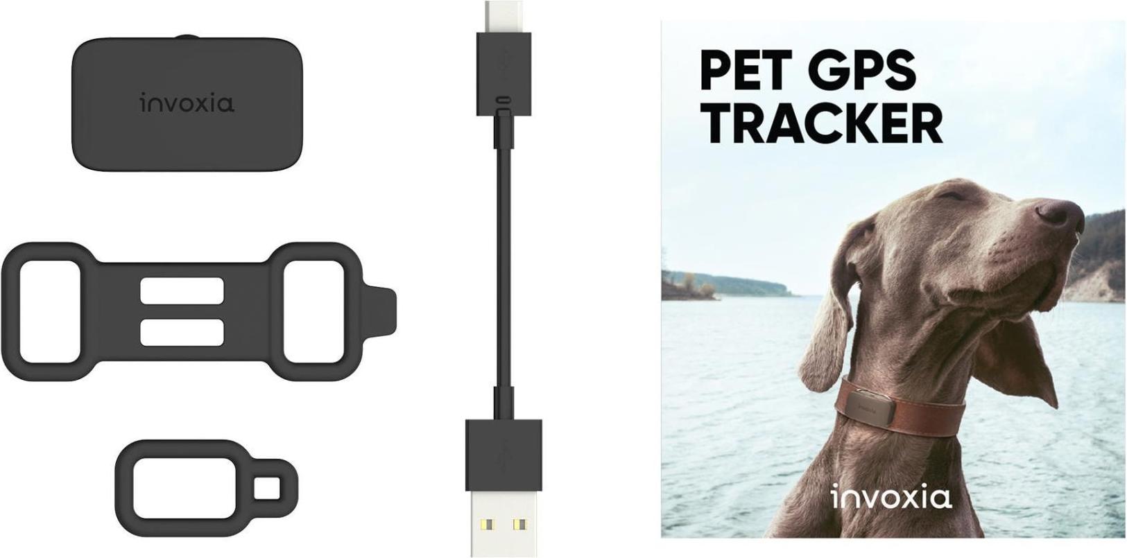 Invoxia Pet GPS Tracker Cat Dog buy at Galaxus