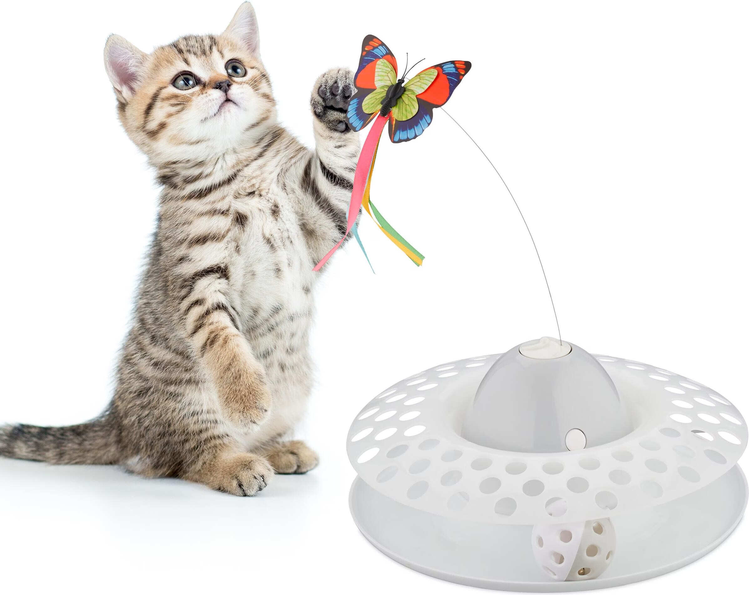 Meilleurs prix pour Relaxdays Jouets pour chats (Jouets pour chats), Jouets pour chat
