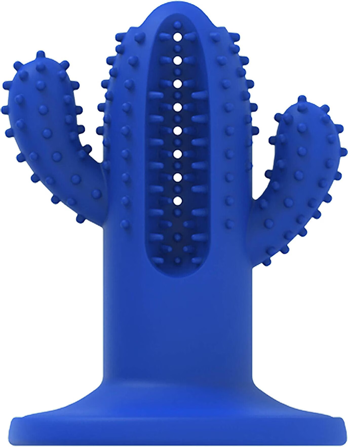 All for Paws AFP - Dental Cactus Small Blue 8,4 cm - (AFPH04196) (Jouets pour chat), Jouets pour chien