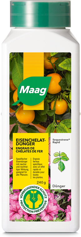 Maag Sequestrene Rapid (0.24 kg) kaufen