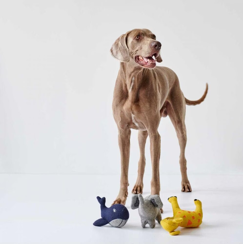 Hunter Jouet pour chiens Eiby Baleine (Jouets en peluche), Jouets pour chien