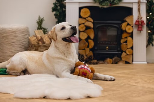 Beeztees Jouets de Nol en peluche (Jouets en peluche), Jouets pour chien