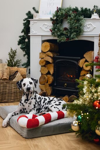 Beeztees Les jouets de Noël (Jouets pour chiens), Jouets pour chien
