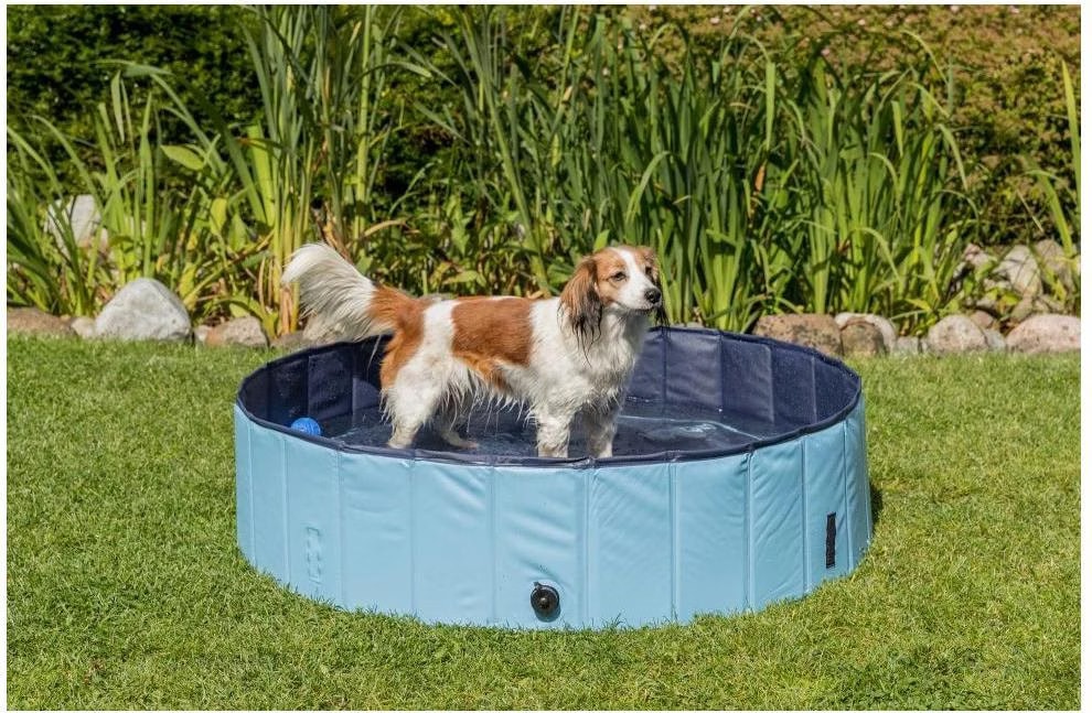 Piscine pour chien, Dimensions: ø 120 × 30 cm Coloris: bleu clair/bleu - Trixie - TR-39482