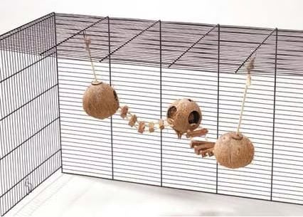 Comparer les prix de Europet Bernina 3 noix de coco avec échelle et corde