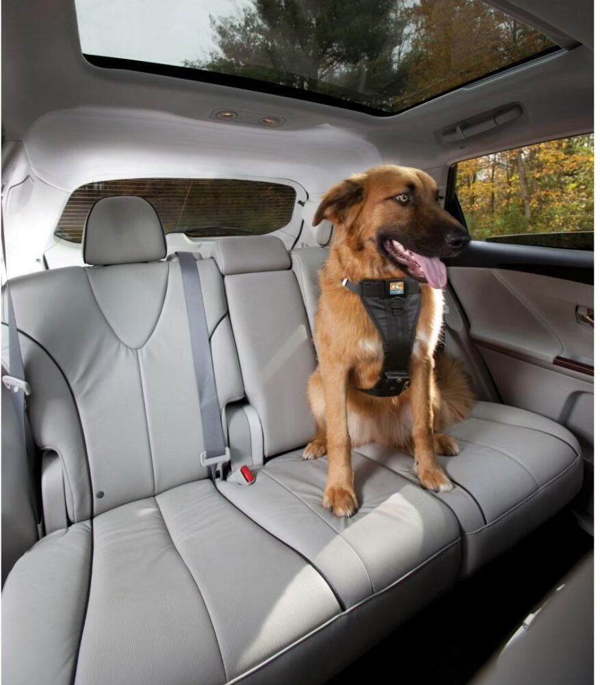 Kurgo Tru-Fit (L, Chien, Général), Laisse