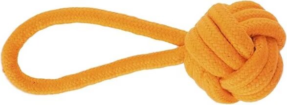 Meilleurs prix pour Red Dingo DINGO Energy ball with handle - Jouet pour chiens - 6 x 22 cm (Jouets pour chiens), Jouets pour chien