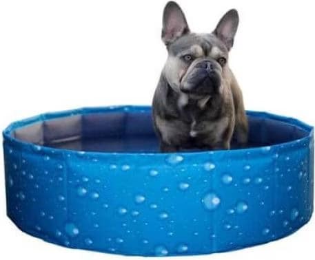 Kerbl Piscine pour chiens Bubble, 80x80x20cm, bleu (Piscine pour chiens), Jouets pour chien