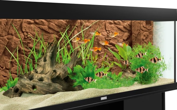 Comparer les prix de Fond stone clay