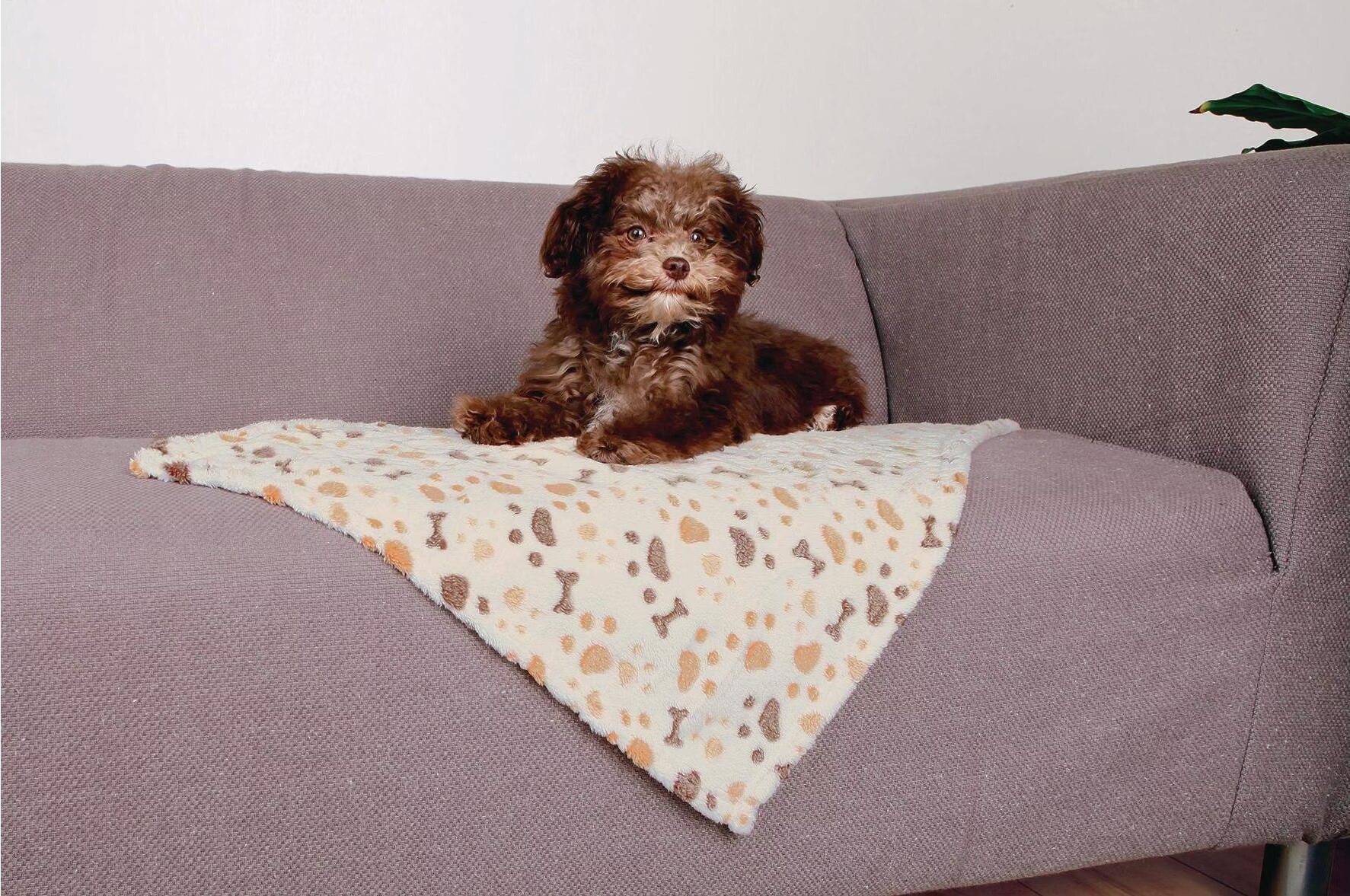 Trixie Couverture Lingo Beige 75X50 Cm