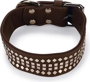 Vintage Collier+Rivets Marron . 60Cm50Mm - Mon Animalerie