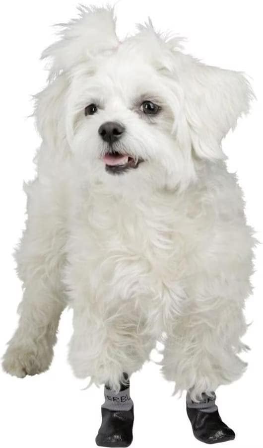 Chaussettes pour chien Kerbl Susi