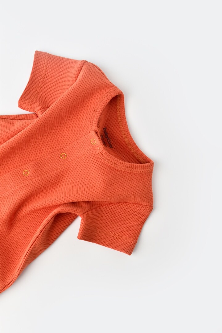 BabyCosy Strampler kurze. kurzarm (62) kaufen NF7127