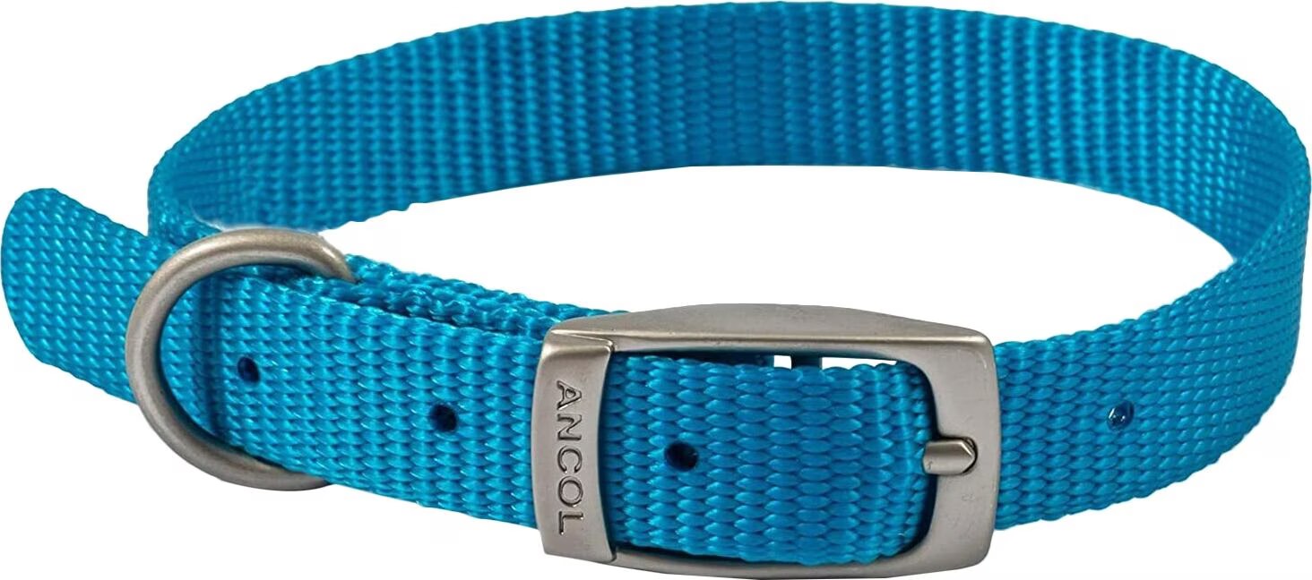 Meilleurs prix pour Ancol Hundehalsband Viva (Chien, Gnral), Collier + laisse